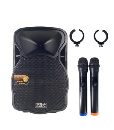 ตู้โพงแอมป์ PROPLUS XA-12