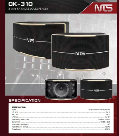 ตู้ลำโพง 10" NTS : OK-310