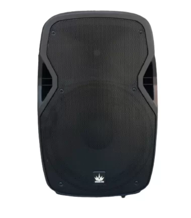 ตู้ลำโพง 12" Proeuro Tech : B-12 (คู่)